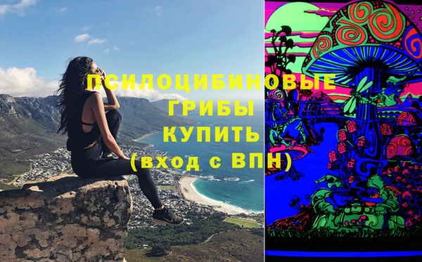 герыч Козельск