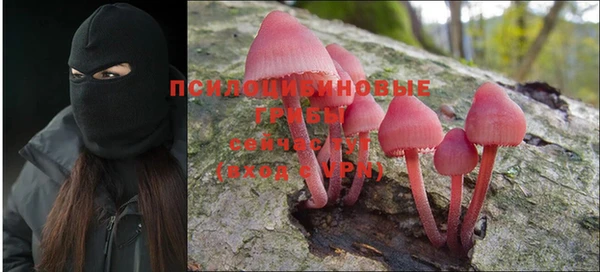 а пвп мука Кодинск